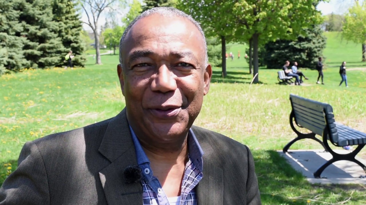 La diversité à l'écran - Fayolle Jean