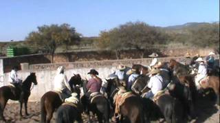 preview picture of video 'rodeo en rincón de la florida fresnillo zac. mex.28 de marzo 2010.MPG'