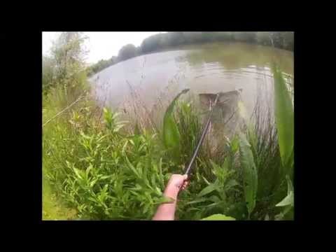 Chester Specimen Lake Carp