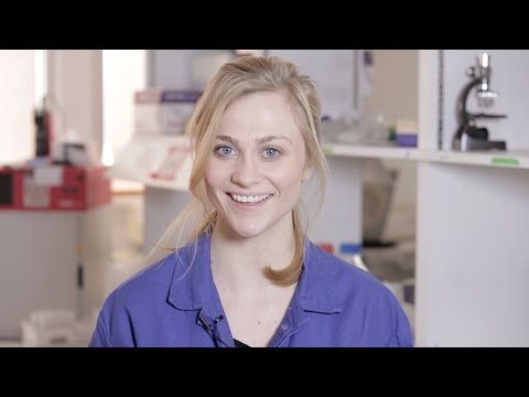 How to Screen Bacterial Colonies with PCR