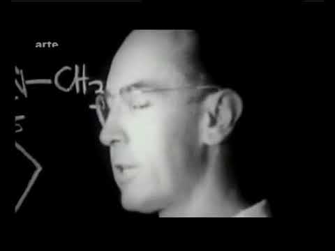 Ergotismus und Hexenverfolgung: Dr. Hofmann hält Dr. Caporaels These für plausibel.