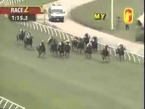 20110213 KL CLASS 5 1600M (LC) - I WISH (KM Lai) / KIWI MAESTRO (SH Lee)