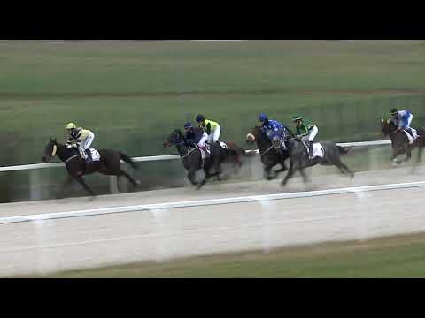 2020.12.20. 03. futam - VÁROSLIGETI DÍJ (V.kat.) (szintetikus pálya)