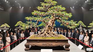 Download lagu Beijing 2026 National Bonsai Exhibition — How Much Are These Trees Actually Worth? mp3