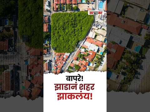 Brazil | एकच झाड, 20 एकराच जंगल! | Cajueiro da Praia