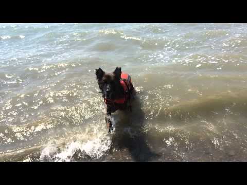 Shep - Peacock Point (Nanticoke) - Lake Erie