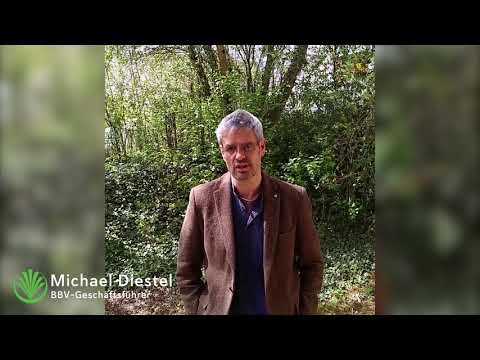 Ortsumgehungsstraße Sulzfeld: Bedarf hinterfragen