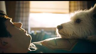 Superman (2025) - 5 Reasons You NEED to See This Movie!