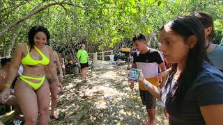 Chica Salvadoreña le dá clases de baile a unas Gringas de cumbia