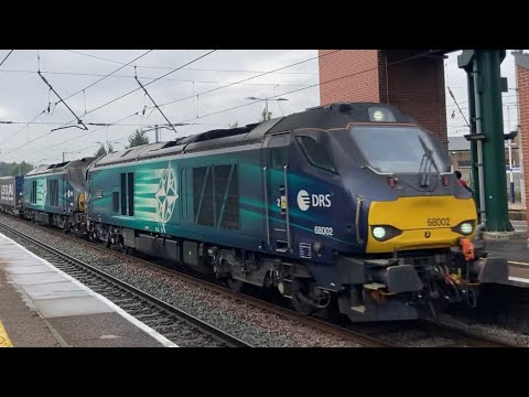 Double cats thrashing past leyland