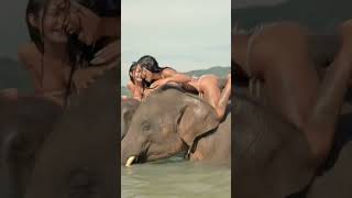 elephant whispering with girl#bikini#mallu#milf#petite#desi#bhabhi#bhojpuri#viral#nobra#notty#tiktok