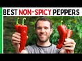 7 NON SPICY Peppers To Grow This Year