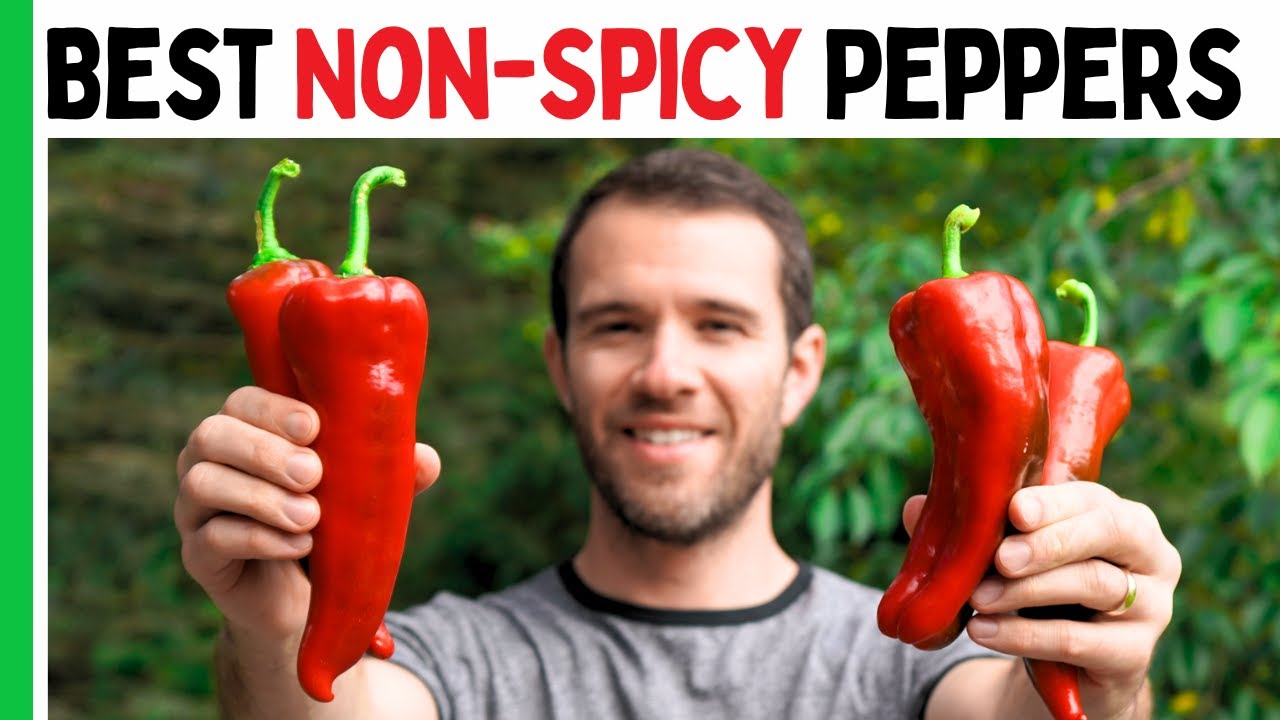 7 NON-SPICY Peppers To Grow This Year