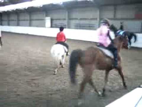 Paardrijden 22-10-2008