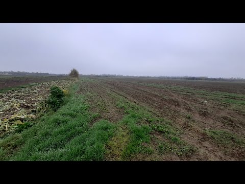 Teren Investiție aproape de București — Video