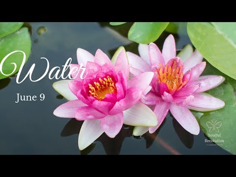 What you want vs. what you have, WATER Sign June 9 Cancer Pisces Scorpio