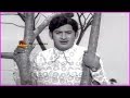 Uttama Illalu Telugu Movie Scenes Super Star Krishna Raja Babu Rose Telugu Movies
