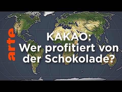 Kakao: Wer profitiert von der Schokolade? | Mit offenen Karten | ARTE