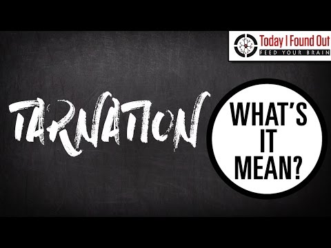 What is a Tarnation