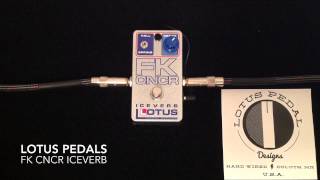 Lotus Pedals FK CNCR Iceverb