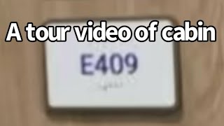 Discovery Princess Cabin E409 tour video (Deluxe mini suite obstructed view)