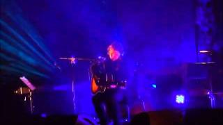 Tom McRae - Human Remains