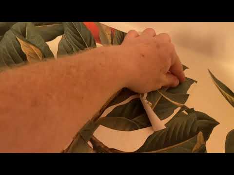 Cutting and Pasting onto Wallpaper to Hide Mismatches - Spencer Colgan