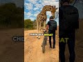 He had an incredible encounter with this giraffe 🦒😯