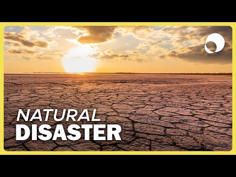 Drought Explained: Causes and Consequences - A Short Documentary