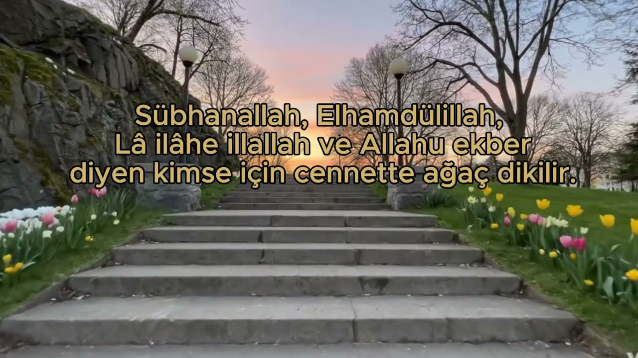 Cennette Kendi Ormanını Kur | En Kolay Zikir