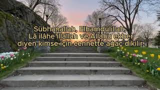 Cennette Kendi Ormanını Kur | En Kolay Zikir