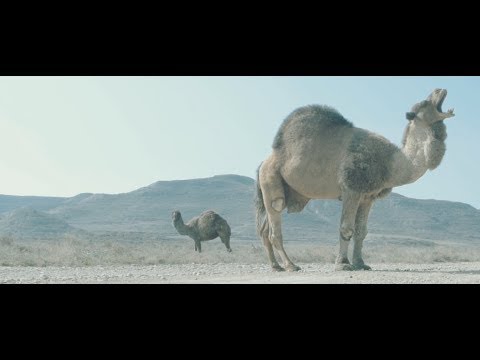 A.Tourist & G. Lesson - "MISS YOU" (Official Music Video) [R.O.T.G]