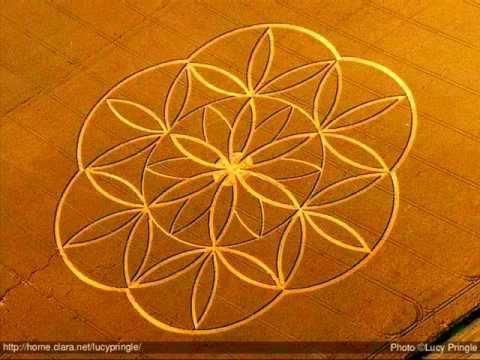 Thierry Robin - Ricsi, kicsi, kem