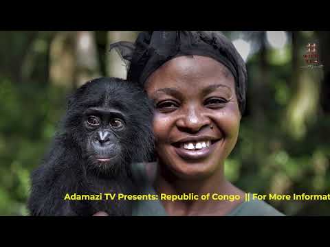 INSIDE THE REPUBLIC OF CONGO: A Journey To The Heart Of Africa - Adamazi TV