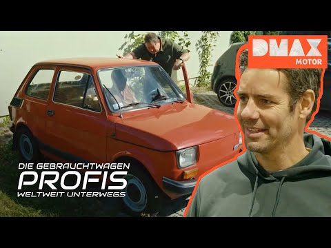 Fiat 126 - Polens „kleiner Junge“ | Die Gebrauchtwagen-Profis: Weltweit unterwegs | DMAX Motor