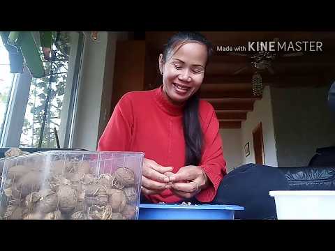 ราคาอ่อนแอยา ความอ่อนแอและโรคคางทูม
