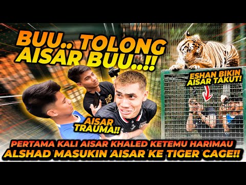 AISAR KHALED KENA MENTAL DIMASUKIN KE TIGER CAGE ?! SATWA2 DIAJAK TINJU SEMUA !!