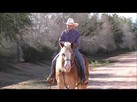 Episode 4 Problem Solving Sarah How to Fix Barn Sour Horse You Tube