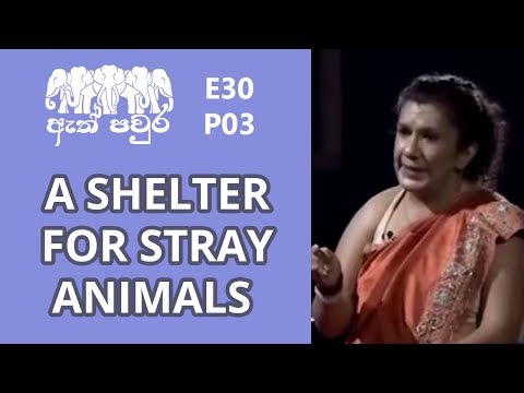 ATH PAVURA - [ E30 - P3 ] Animal protection - Thanuja Nawarathne
