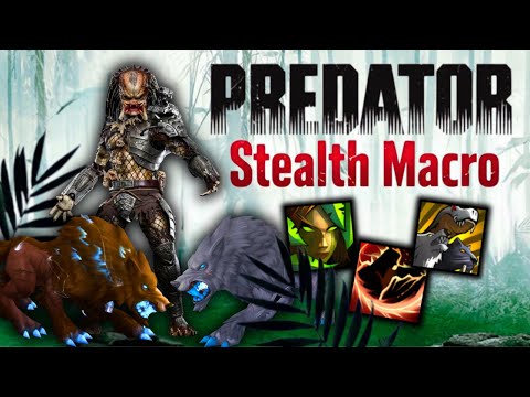 Stealth Macro Lets You Deal Insane Damage Undetected | WoW