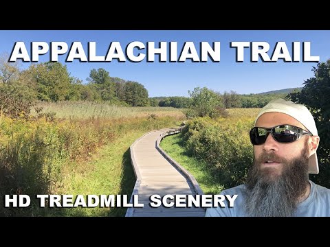 Appalachian Trail - HD TREADMILL SCENERY