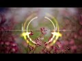 Download High Volume Ringtone Best Ringtones Download Free For Mobile