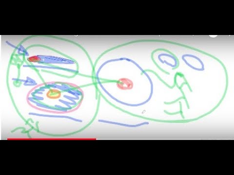 184th Knowledge Seekers Workshop - August 10, 2017