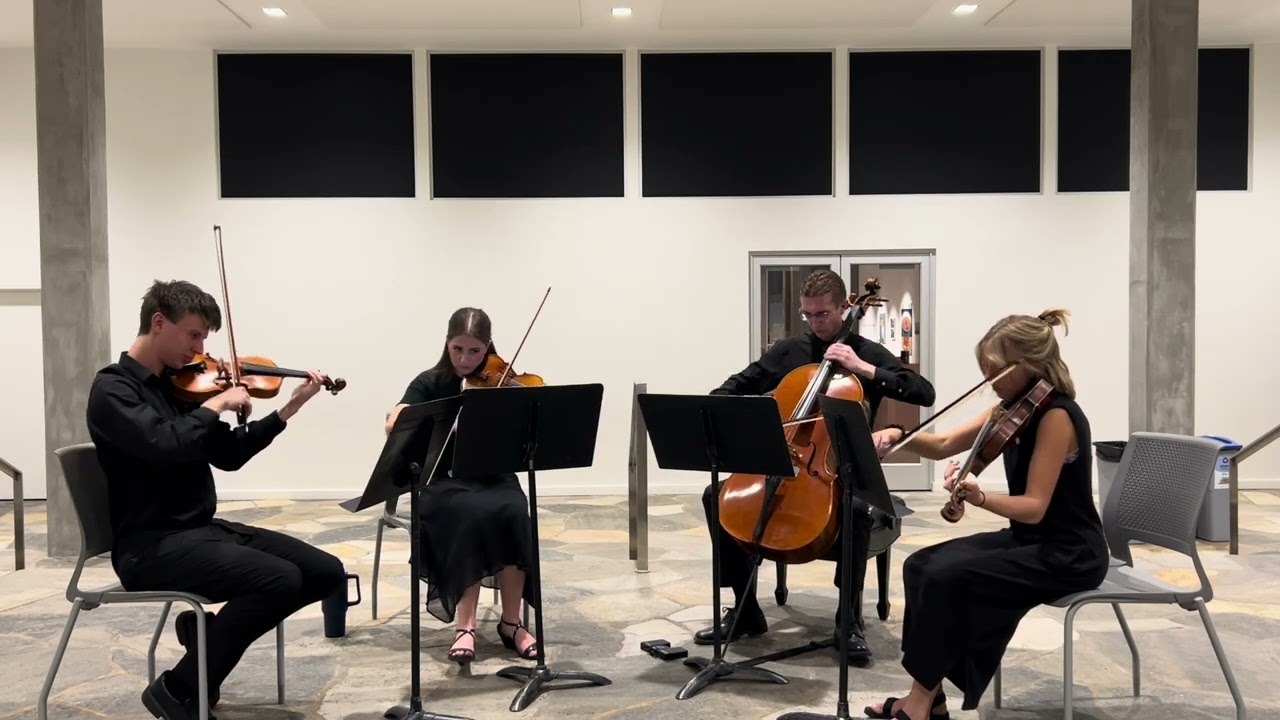 Promotional video thumbnail 1 for Golden Hour Strings