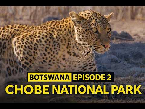 BOTSWANA | EP 2 | VICTORIA FALLS | CHOBE NATIONAL PARK | IHAHA