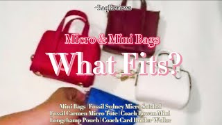 Mini Bags What fits? | Fossil Micro Sydney, Longchomp Pouch , Coach Mini Rowan, & more! RaqReviews