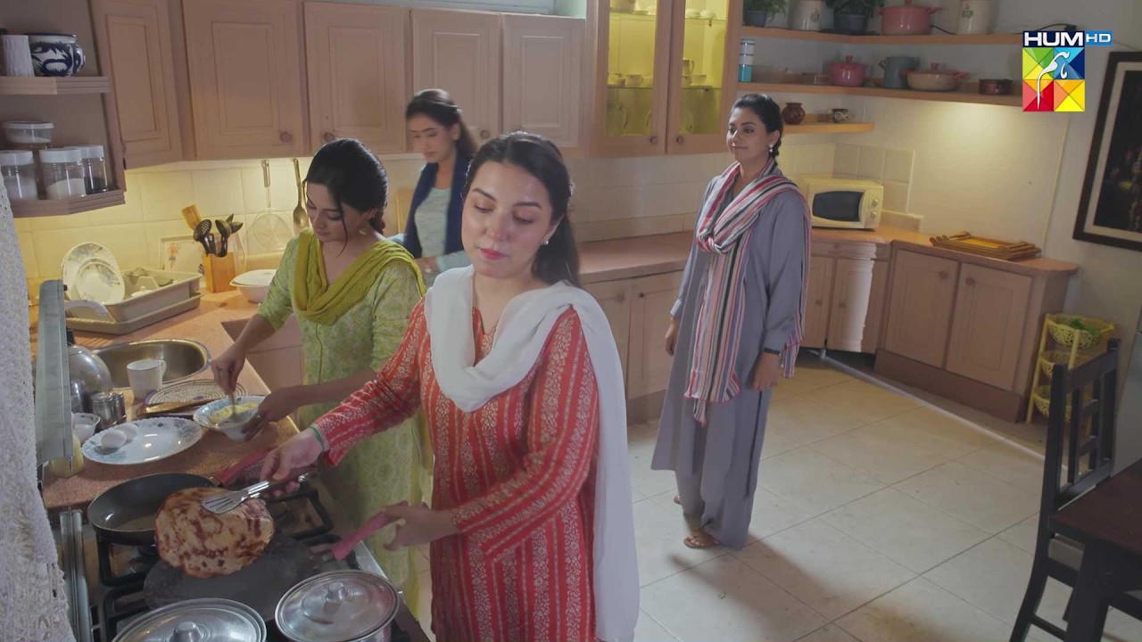 Paisa Kamany Wali Bhabi Ko Kaam Karne Nahi Dena..! #sunitamarshal #aliabbas - HUM TV