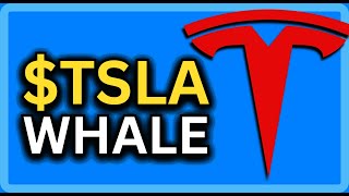 TSLA Portfolio Manager w/ 300K SHARES Doubles Down!