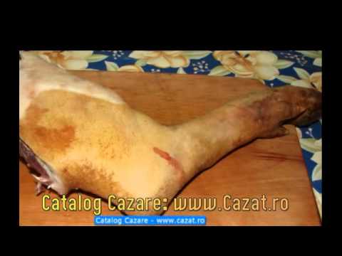 Cazare Namoloasa, Galati - Cazat.ro