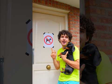 No se Aceptan Perritos 🐶😭😭😭 #perrosalchicha